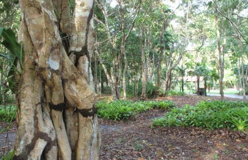 The Lion Cottage- Charming Studios - Foto 28