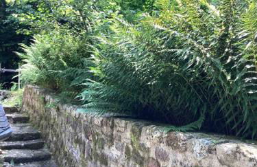 Woodland Cottage - Foto 14