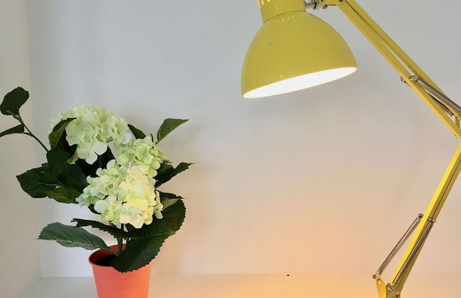 Netley Village Apartment - Foto 19