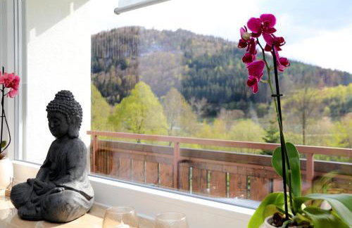 Ferienwohnung Sonnenblick Balkony - WIFI - New & Modern - Winterberg - Niedersfeld - Foto 64