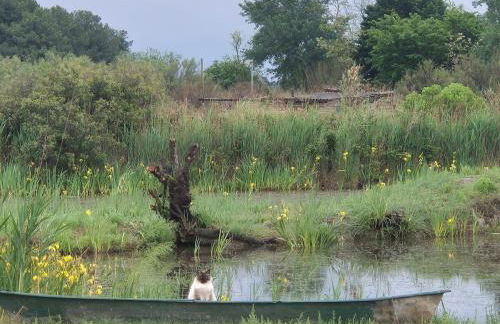 Havre de paix zen et cosy - Foto 16