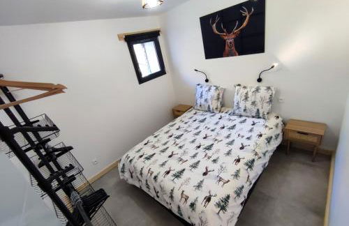Le Bois Cosy appartement 4 étoiles 6 personnes, ACCES SKI ALPE D'HUEZ GRAND DOMAINE A 3 K M - Foto 40