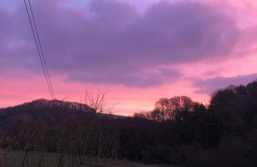 Lower Thornton Farm - Foto 11