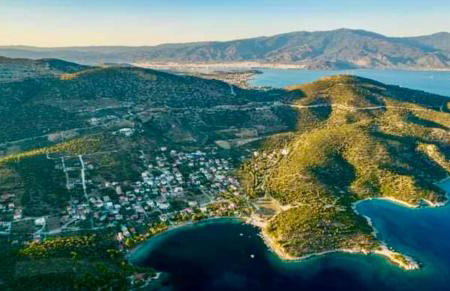 Alexander's - Foto 34