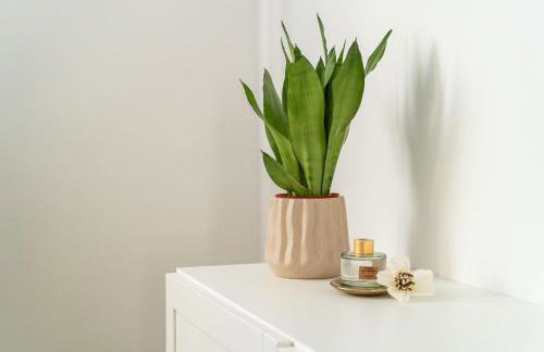 Olive Family house - Photo 49