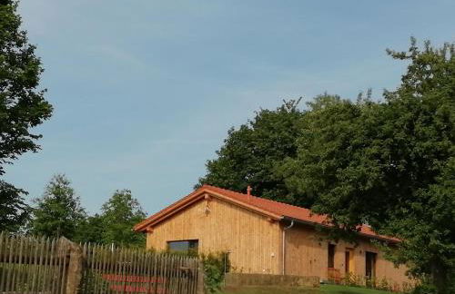 Waldheimat - Photo 21