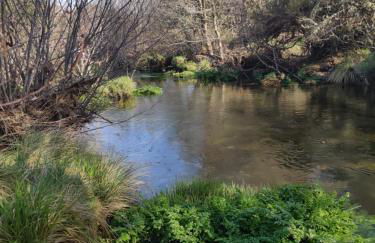 Casa do Sobrado-Gralhas-Montalegre - Photo 28
