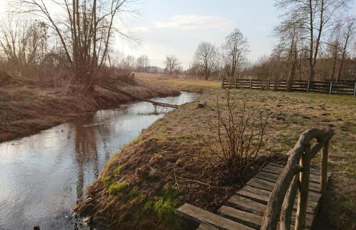 Małe Mazury- domek z łowiskiem - Photo 9