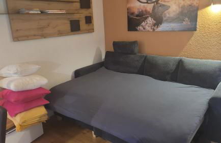 Bergflügel Fewo, Schwimmbad, Sauna, Skilift - Foto 15