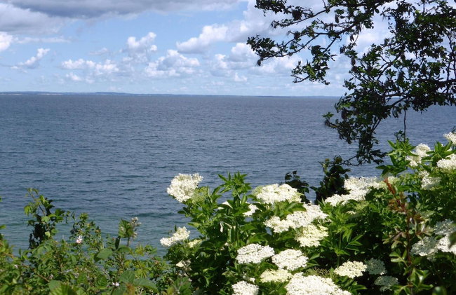 6 Person Holiday Home in Augustenborg - Photo 31