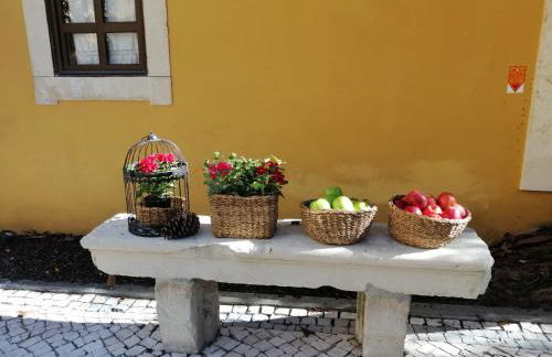 Casa De Campo Colmeal - Foto 24