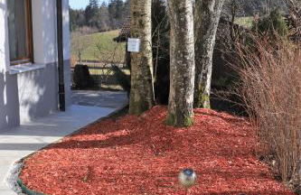 Gästehaus Willaringen - Foto 6