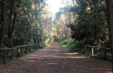 MInicasetta sul mare - Foto 14