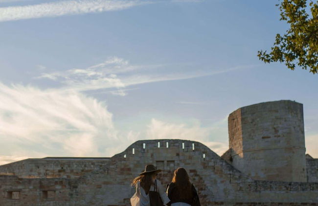 Visita guiada por Zamora y su castillo - Foto 6