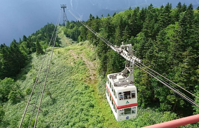 Green House - Foto 14