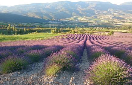 maisonnette le cabanon - Foto 25