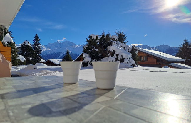 Baudrier A04 - Foto 26