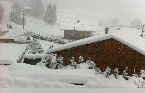 Dans hameau, près des pistes logement de plein pied au calme - Foto 13
