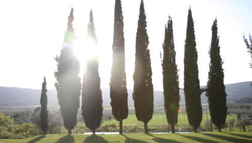 Agriturismo La Colombaia - Foto 3, Garden