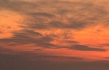 Guesthouse in Coastal Del Mar, California - Foto 47