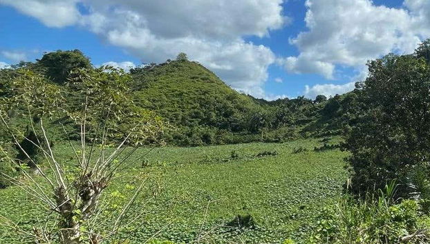 Paisajes de la selva dominicana