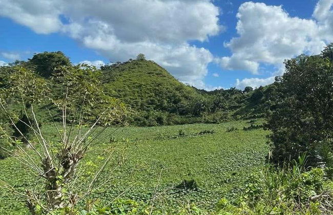 Tour en buggy por Samaná - Foto 5