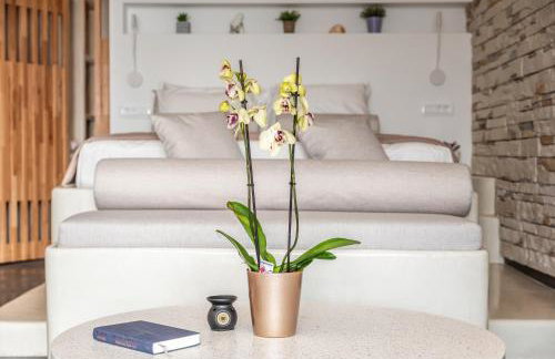 The Colourful Land Syrma - Foto 9