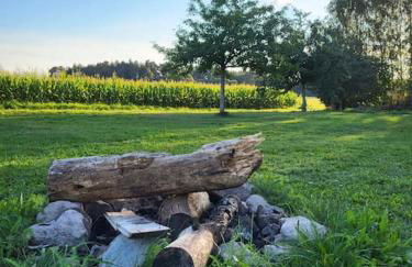 Seenlandliebe Wiesethblick bis 3 Personen - Foto 12