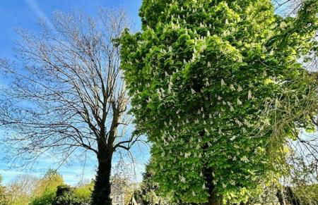Longère des Templiers near Troyes - Foto 16