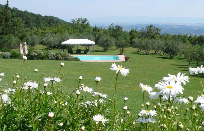 Verdidea - Villa la Felce - Foto 51