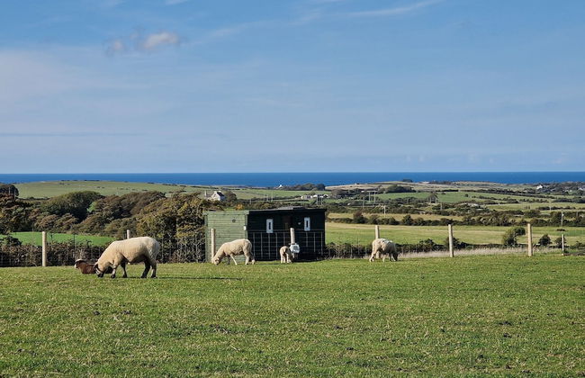 Stunning 1-bed Shepherd hut - Foto 24