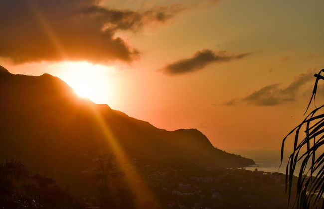 Wild Vanilla Apartment - Photo 35