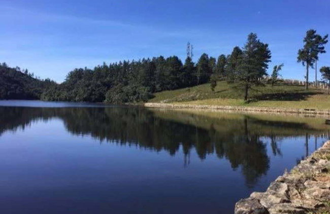 Tour panorámico por Campos do Jordão + Parque Amantikir - Foto 5