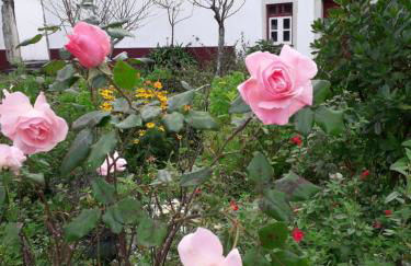 Casa Hozani - Foto 20