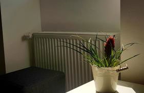 Zwei schicke Apartments mit Parkplatz - Photo 22