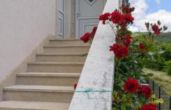 Divine Apartment Drnis - "Modern comfort at the gateway to Krka National Park" - Photo 33