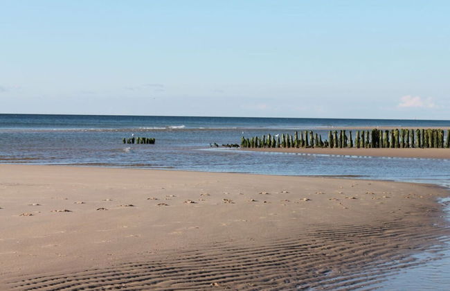 Haus Ruusenhoog - Apartment 7 - Photo 10