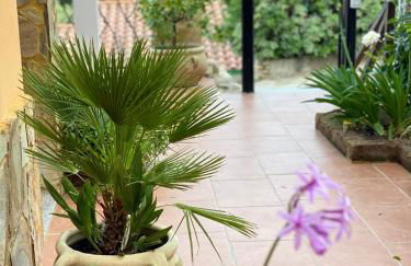 Sa Terrazza costarei - Foto 35