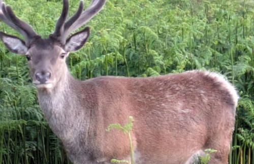 Herons Rest Pod By The Sea - Foto 57