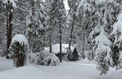 BunkHouse 1960's Camp Vibe with Timeless Wet Bar - Foto 24