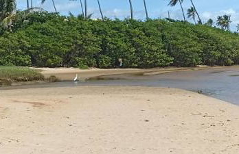 Aconchego da Jandaia - Foto 31