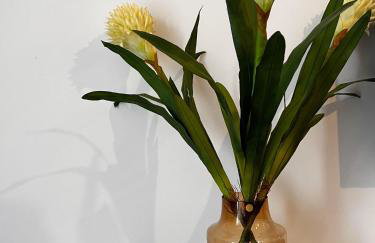 Relax nad Narwią u Oli I Pawła - Photo 8