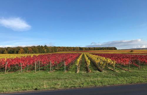 Ferienwohnung Inga - Foto 41