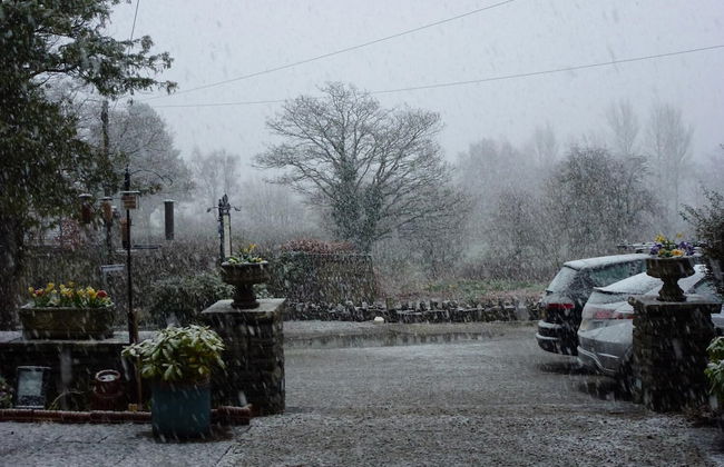 Lakeside Lodge - Foto 23