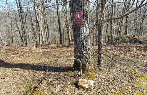 The Frontier - An Amish Built Deluxe Cabin - Foto 18