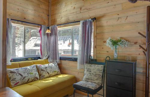 Idaho Springs Cabin with Hot Tub on Half Acre! - Foto 24