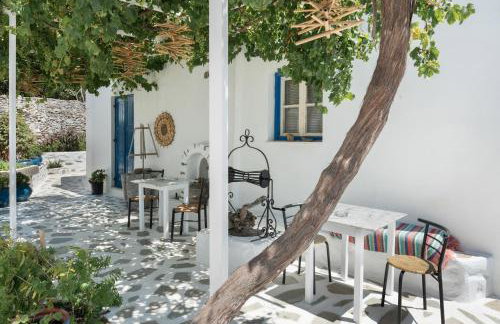 Politimis Studio N4 - Photo 21