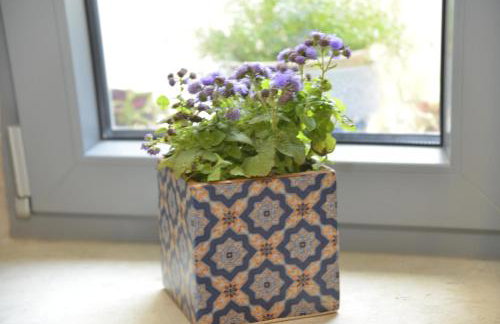 Luxurious bungalow in Ipsos beach - Foto 12