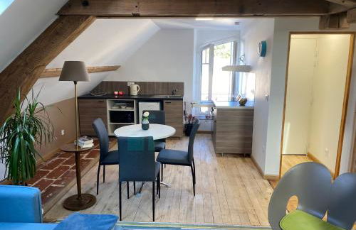 Appartements de Diane - JOIGNY - Foto 32