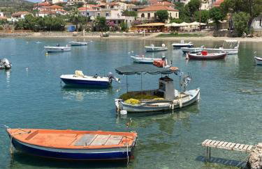 Myrtilo Waterline 2 (Orange) - Foto 20